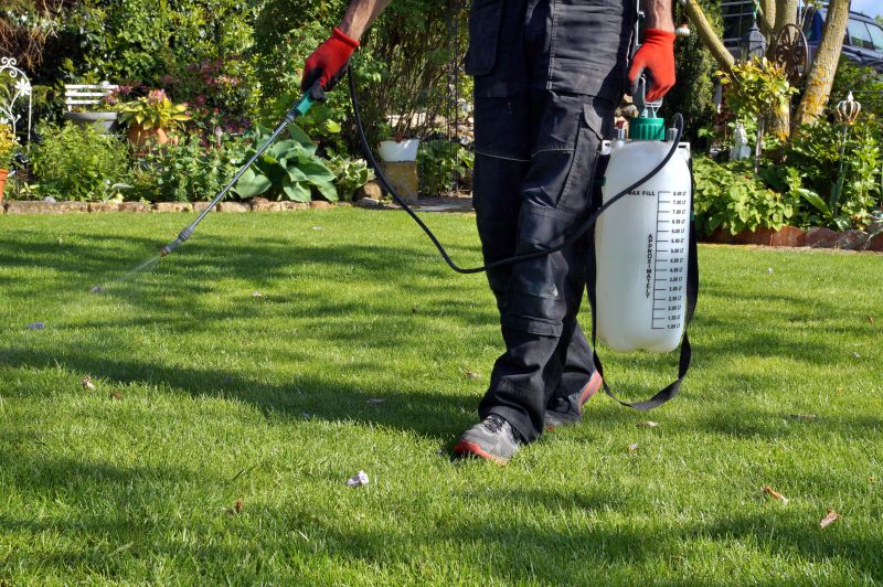 Lawn Repair Service