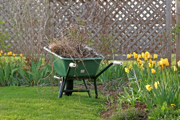 Flower Bed Cleanup Service in Cordova