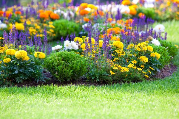 Flower Bed Maintenance in Cordova