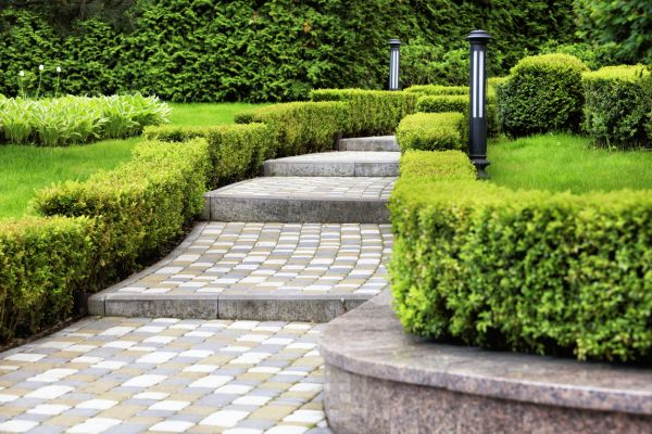Backyard Remodeling in Cordova