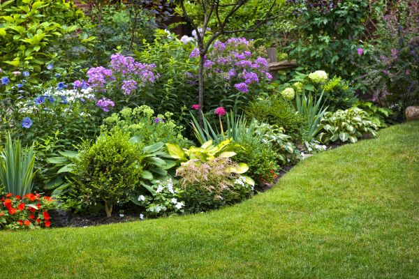 Flower Bed Service in Cordova