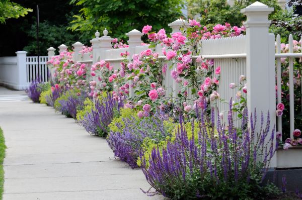 Garden Handyman Service in Cordova