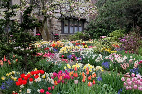 Garden Maintenance Service in Cordova
