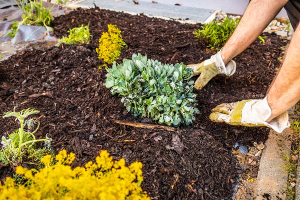 Weeding And Mulching in Cordova