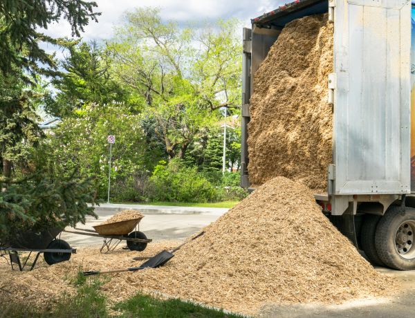 Wood Chips Delivery in Cordova