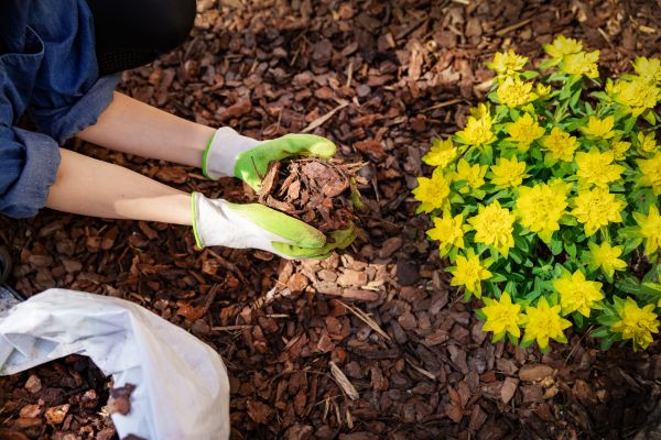 Garden Mulching in Cordova
