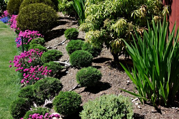 Residential Gardening in Cordova