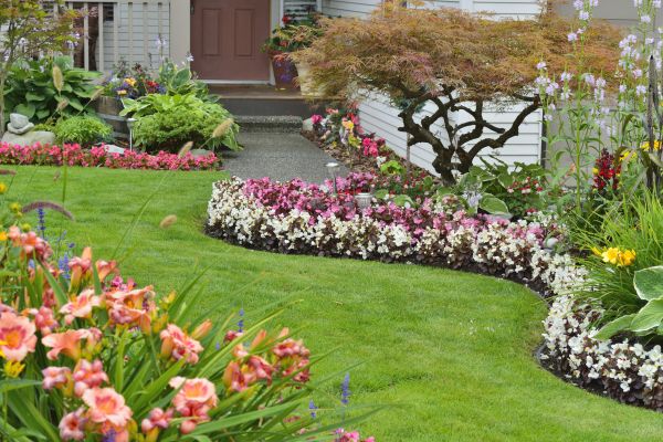Perennial Landscaping in Cordova