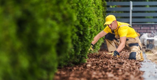 Cypress Mulch Installation in Cordova