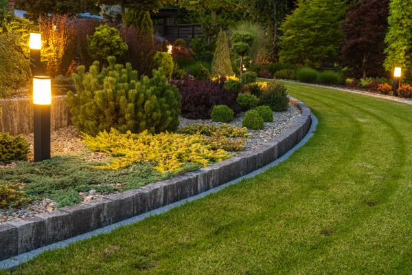 Garden Repair Service in Cordova