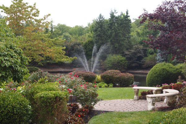 Courtyard Design Service in Cordova
