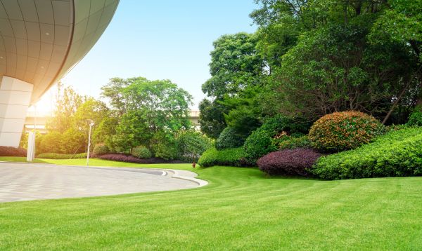 Business Landscape Design in Cordova