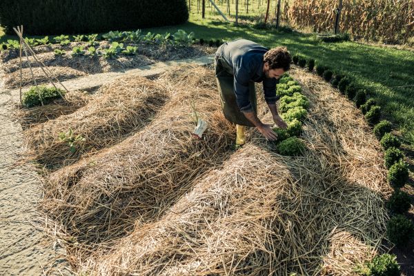 Straw Mulching Service in Cordova