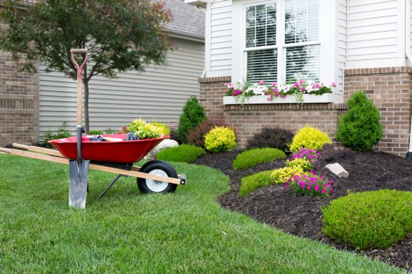 Tree And Shrub Planting in Cordova
