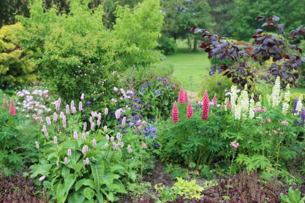 Flower Bed Planting in Cordova