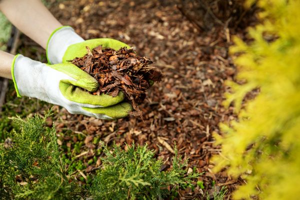 Garden Mulch Delivery in Cordova