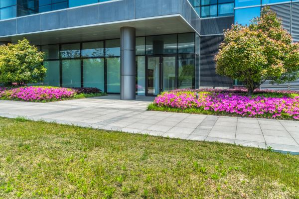 Commercial Gardening in Cordova