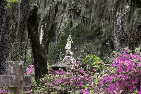Cemetery Landscaping in Cordova