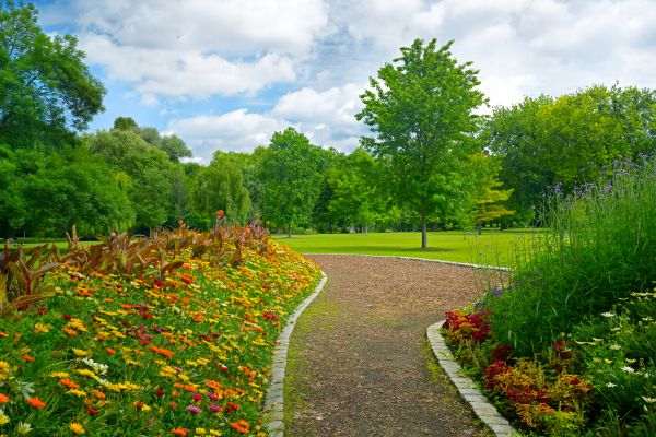 Park Landscaping in Cordova