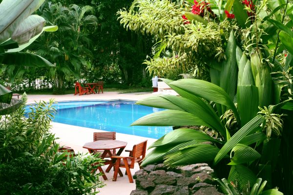 Tropical Garden Landscaping in Cordova