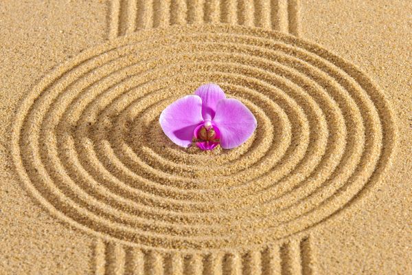 Sand Garden Landscaping in Cordova