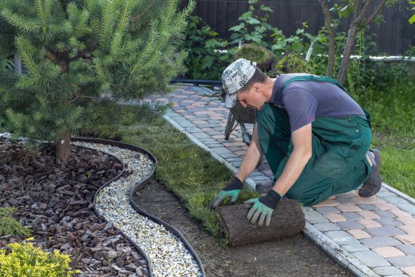 Landscaping Modification in Cordova