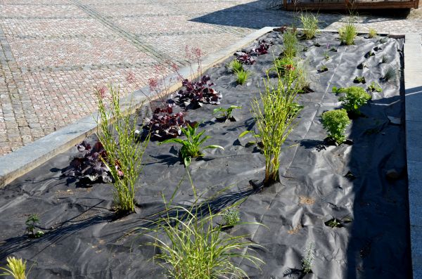 Landscape Fabric Installation in Cordova