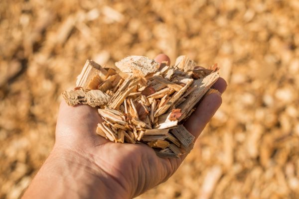 Wood Chips Spreading in Cordova