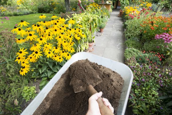 Topsoil Replacement in Cordova