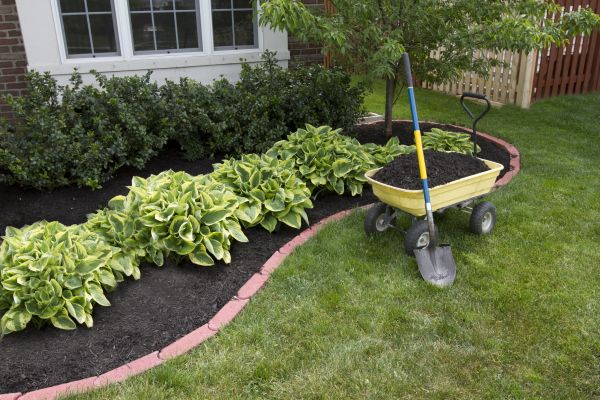 Landscape Mulching in Cordova