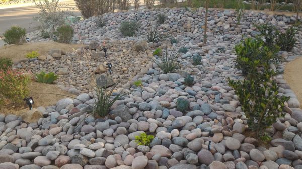 Yard Xeriscaping in Cordova