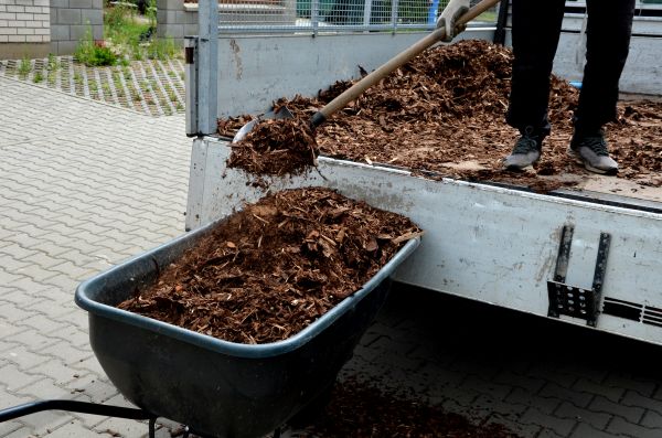 Playground Mulch Delivery in Cordova