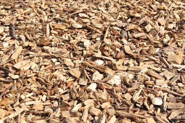 Wood Mulch Delivery in Cordova