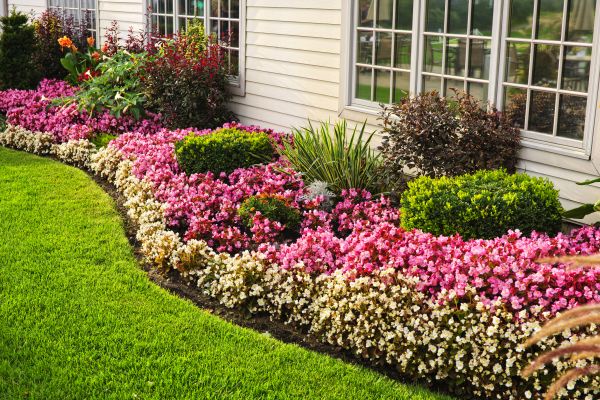 House Landscaping in Cordova