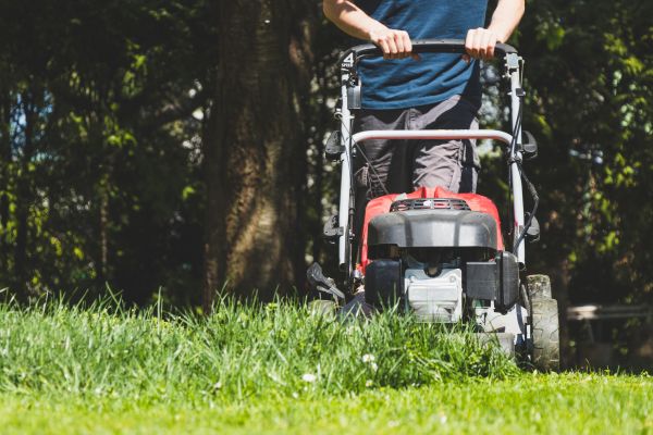 Garden Trimming Service in Cordova