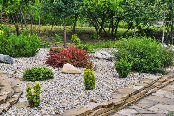 Hardscape Landscaping in Cordova