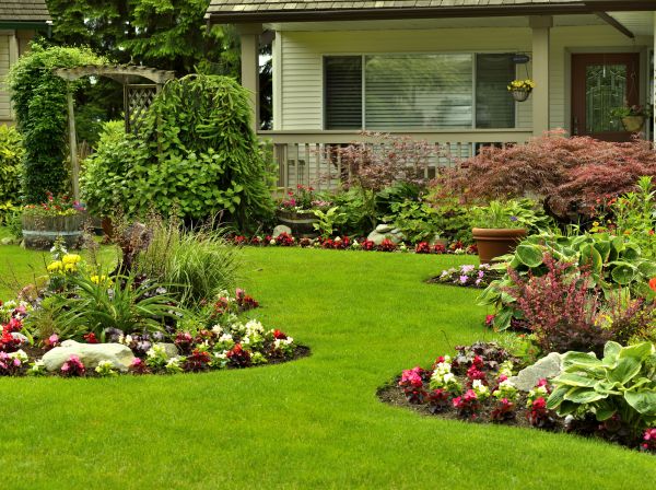 Flower Garden Planting in Cordova