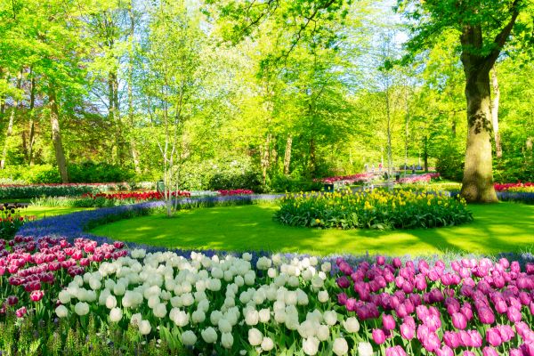 Flower Landscaping in Cordova
