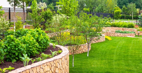 Yard Makeover Service in Cordova