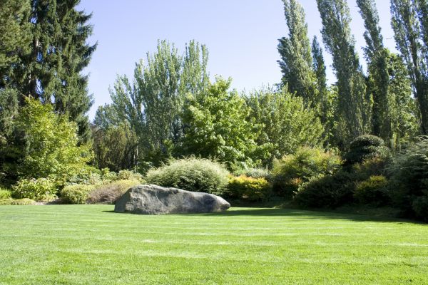 Yard Enlargement in Cordova
