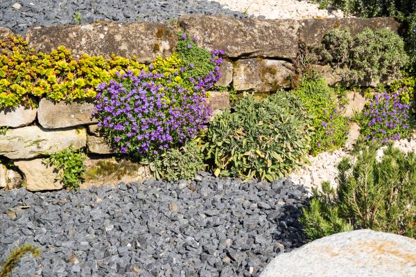 Landscaping Rocks Installation in Cordova