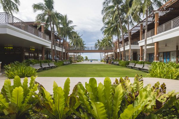 Commercial Lawn Renovation in Cordova