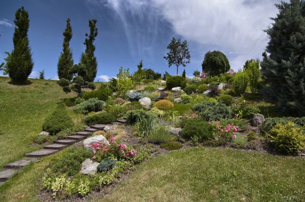 Steep Terrain Landscaping in Cordova