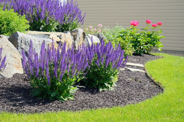 Landscape Planting Service in Cordova