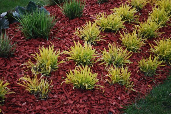 Red Mulch Installation in Cordova