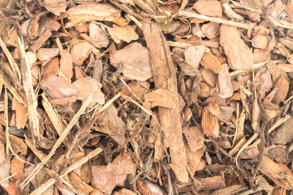 Bark Mulch Installation in Cordova