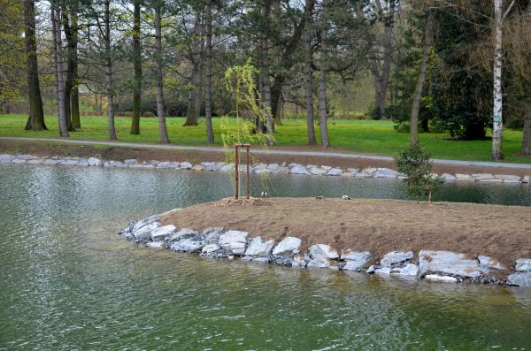 Pond Landscaping Service in Cordova