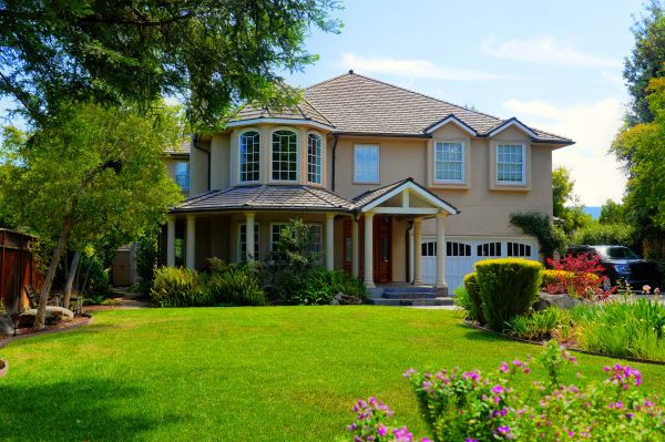 Large Yard Landscaping in Cordova