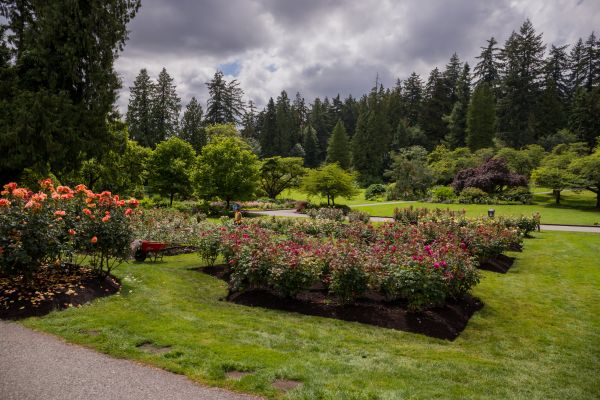 Flower Garden Landscaping in Cordova