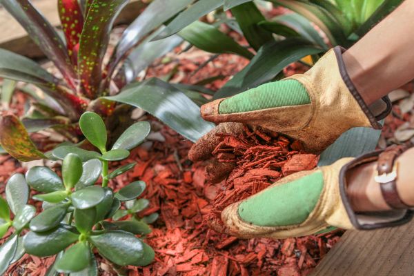 Residential Mulching in Cordova